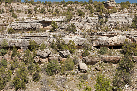 Walnut Canyon National Monument Island Trail Cliff Dwelling